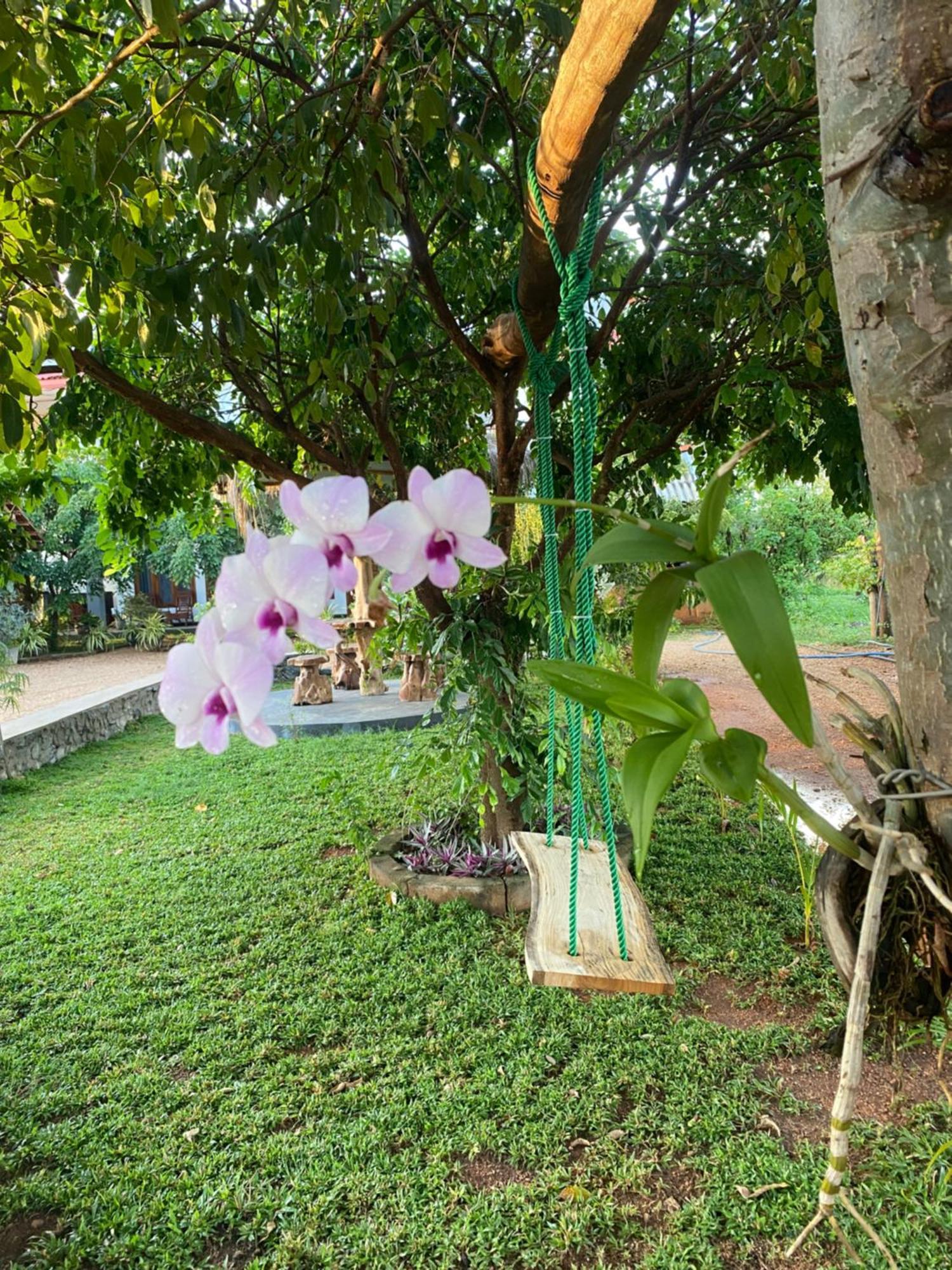 Hotel Hanguk Villa Dambulla Exteriör bild